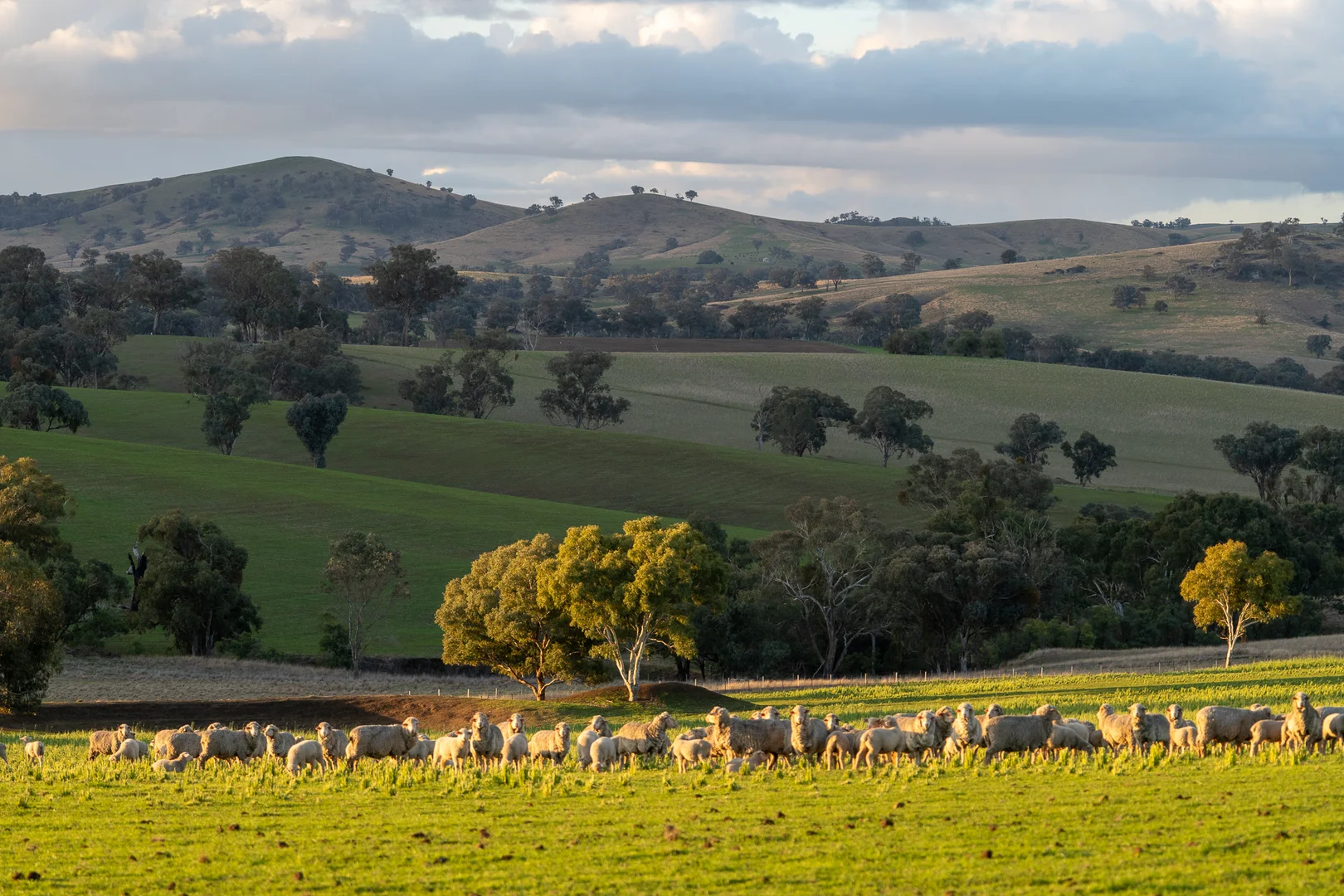 Additional image 10 of 1507 Pine Mount Road, Woodstock NSW 2793