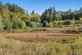 Additional image 29 of 259 10 Tooley Rd, Toledo, WA, 98591