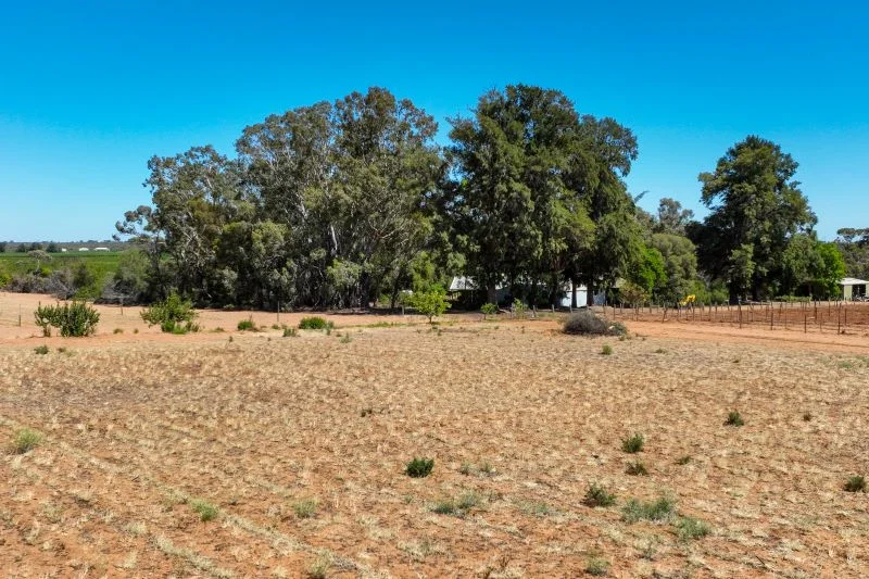 Additional image 28 of 491 Dalziel Road, Winkie SA 5343