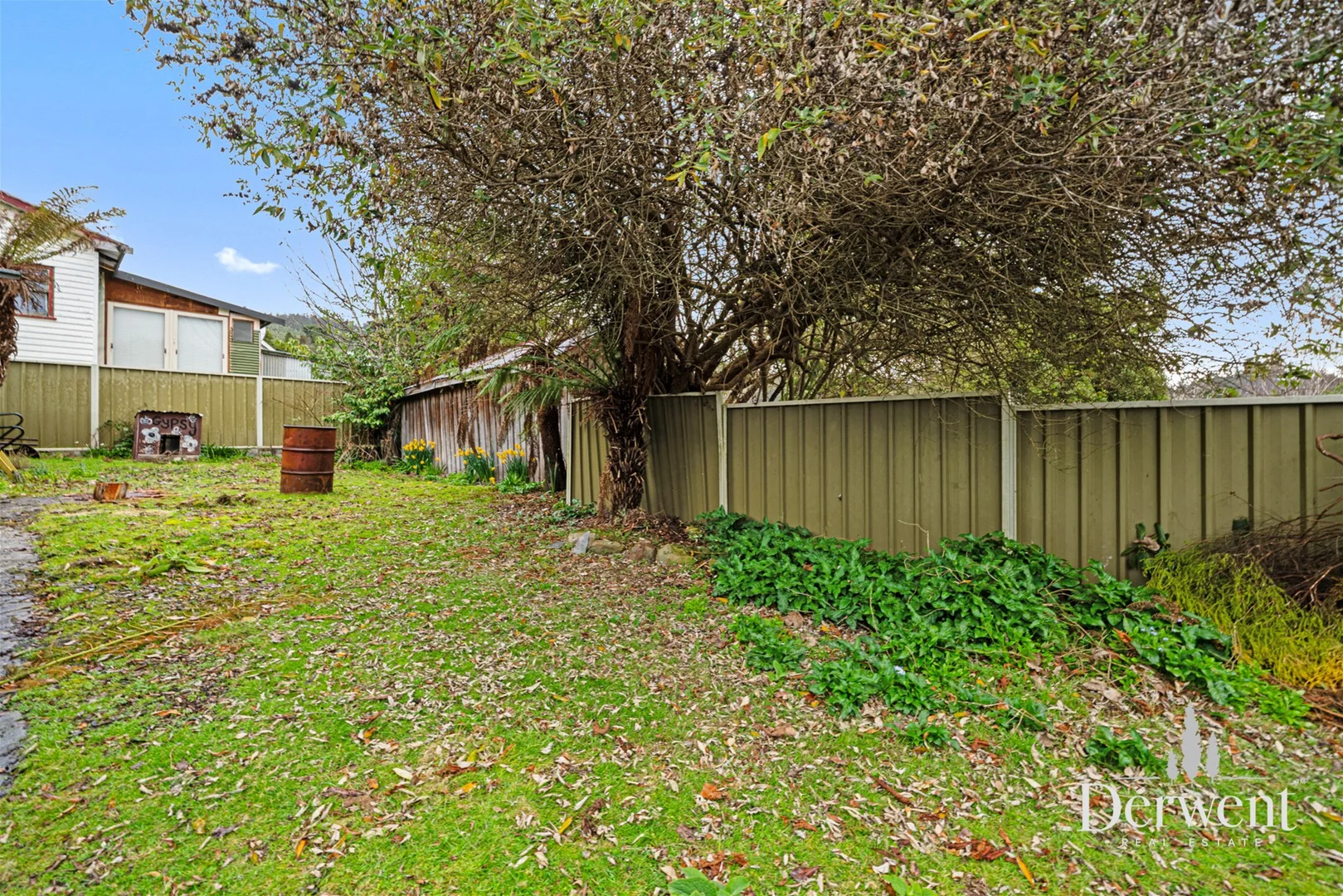 Additional image 23 of 8 Mayne Street, Maydena TAS 7140