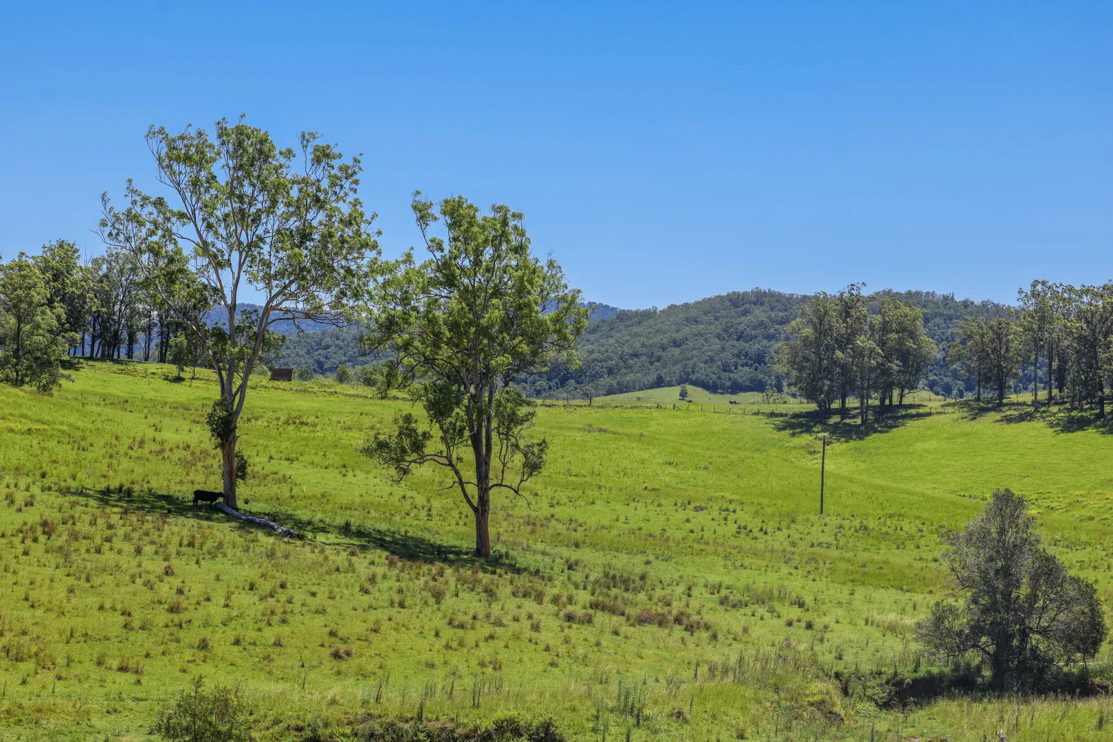 Additional image 17 of 55 Argues Rd, Upper Taylors Arm NSW 2447