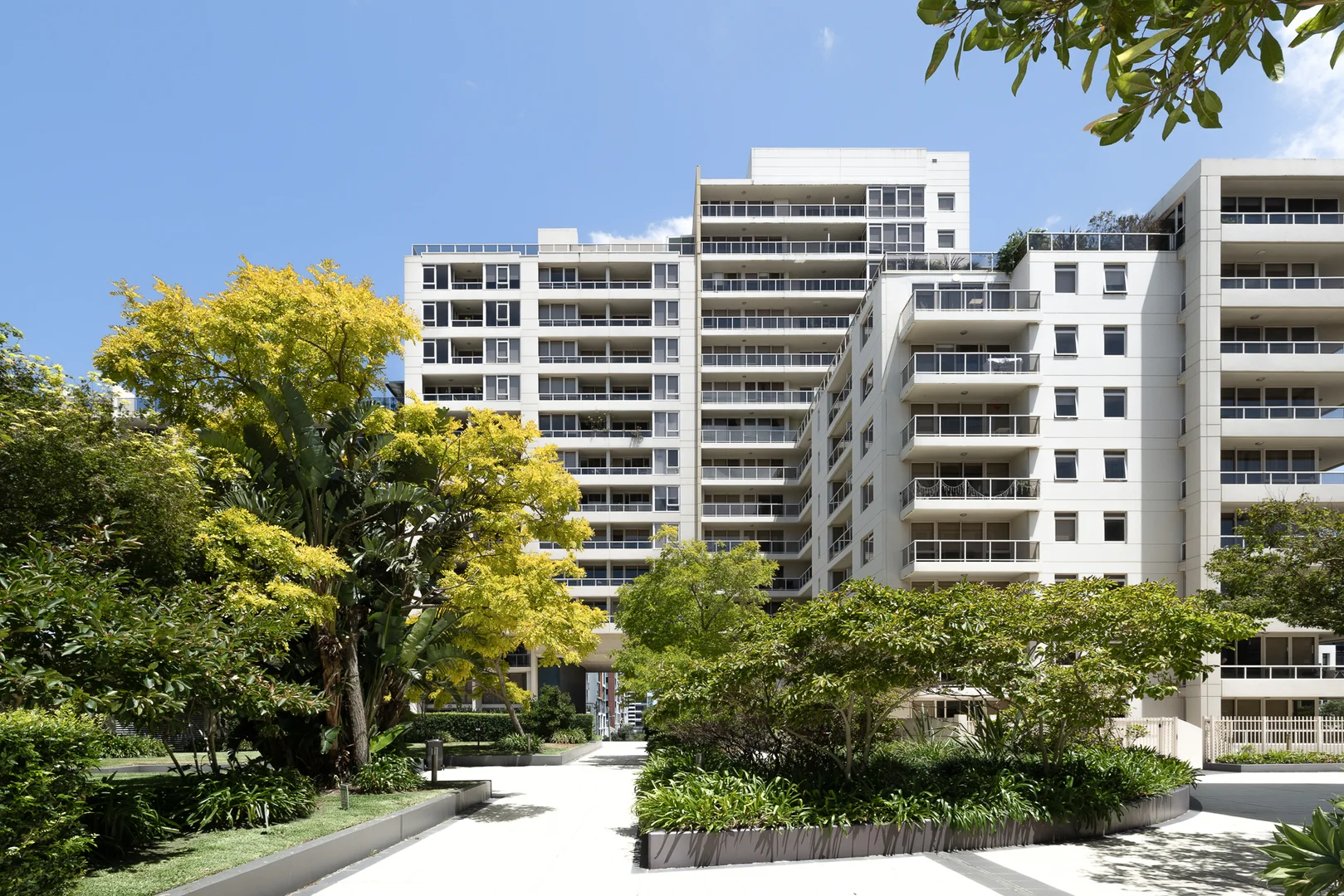 Additional image 7 of 270/8 Lachlan Street, Waterloo NSW 2017