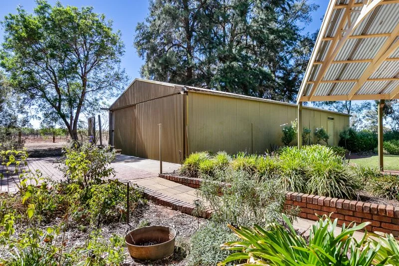 Additional image 24 of 491 Dalziel Road, Winkie SA 5343