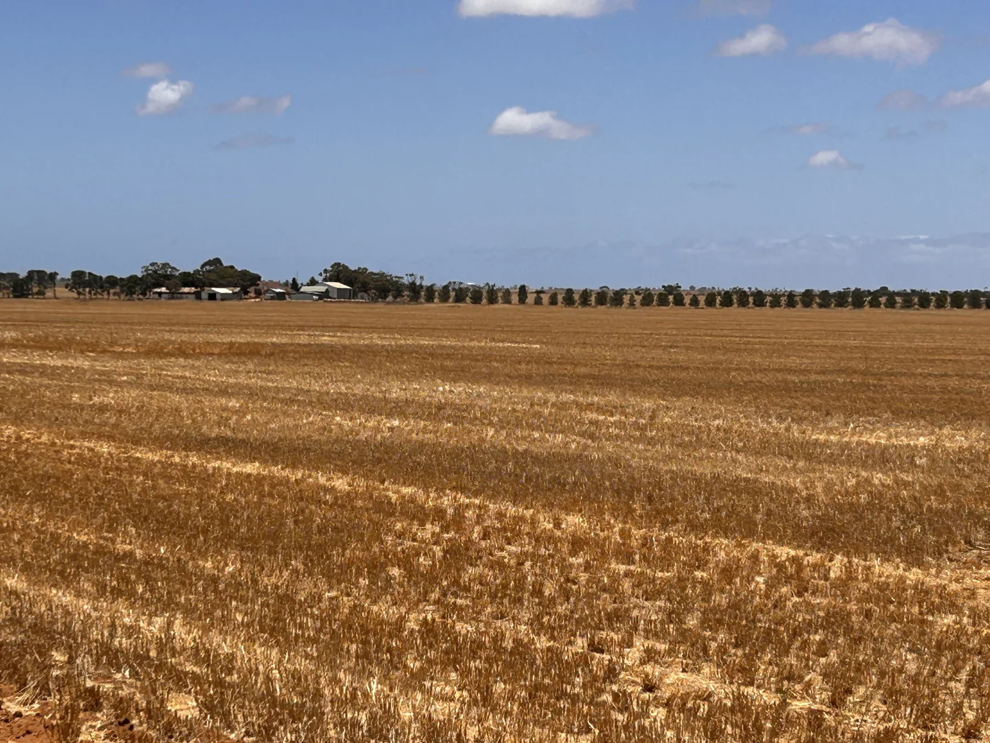 Additional image 5 of 114 Coconut Road, Paskeville SA 5552