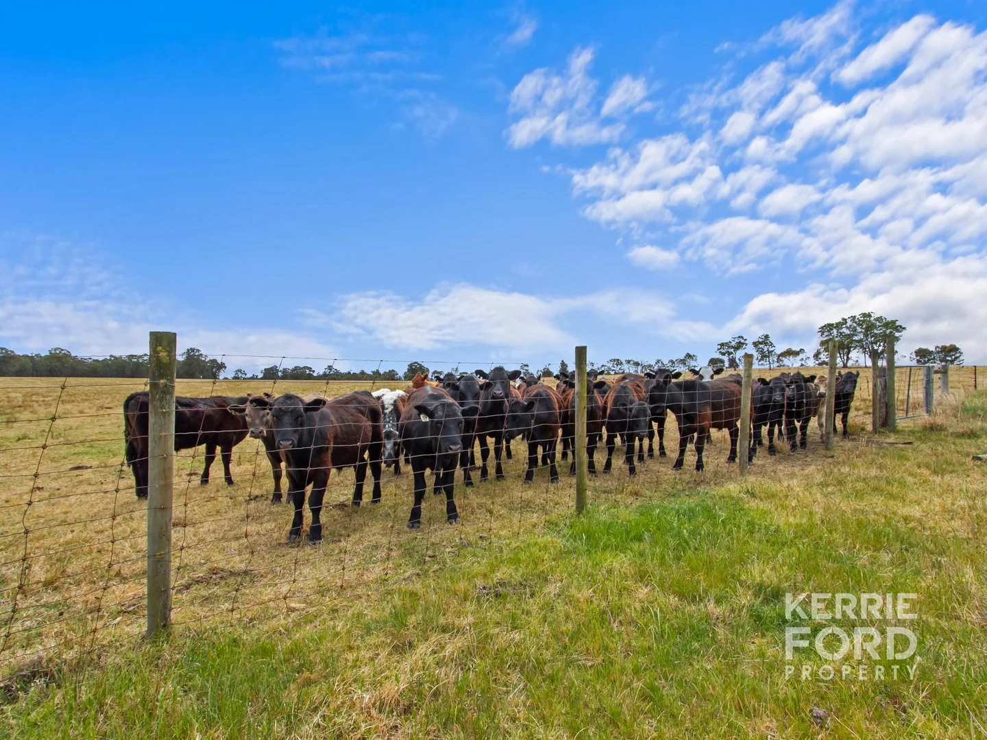 Additional image 5 of Lot 2/810 Tinamba Seaton Road, Tinamba VIC 3859