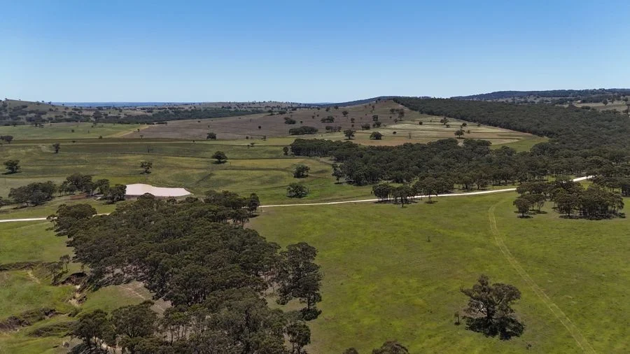 Additional image 14 of 190 BROWN SPRINGS ROAD, Coolah NSW 2843
