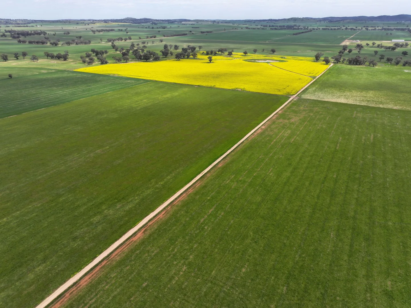 Additional image 8 of 1679 Stockinbingal Road, Cootamundra NSW 2590