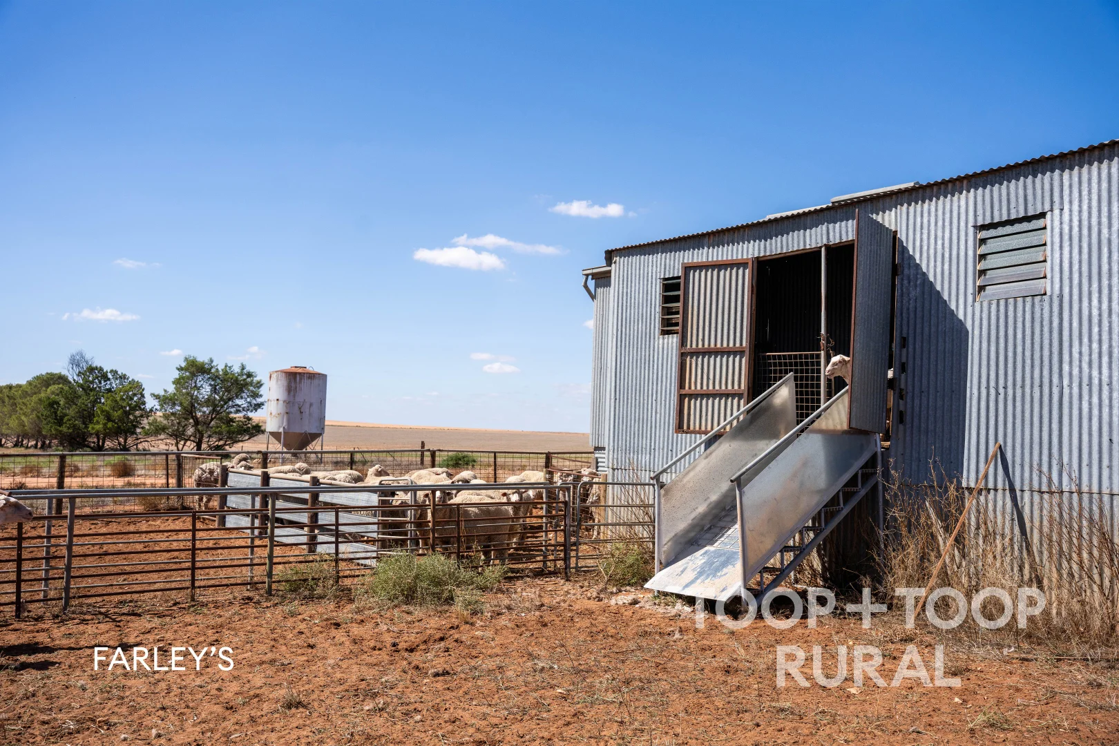 Additional image 17 of 833 Walshs Bore Road, Copeville SA 5308