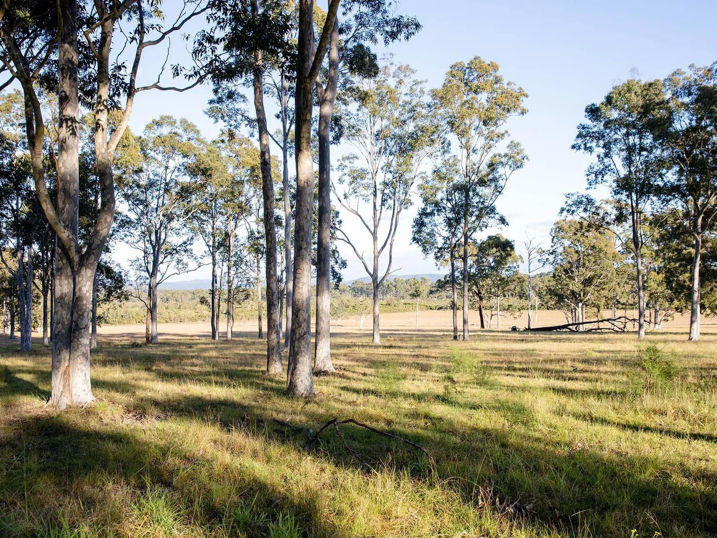Additional image 9 of Lot 3025 Songlark Avenue, Warnervale NSW 2259