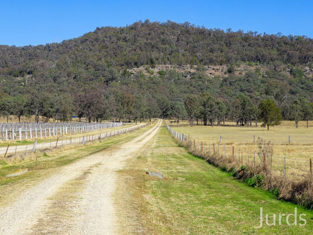 Additional image 41 of 891 Milbrodale Road, Broke NSW 2330