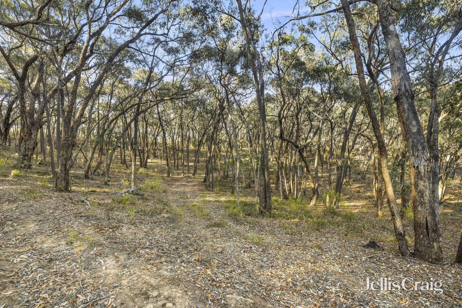 Additional image 6 of 589 Vaughan Springs Road, Drummond North VIC 3446