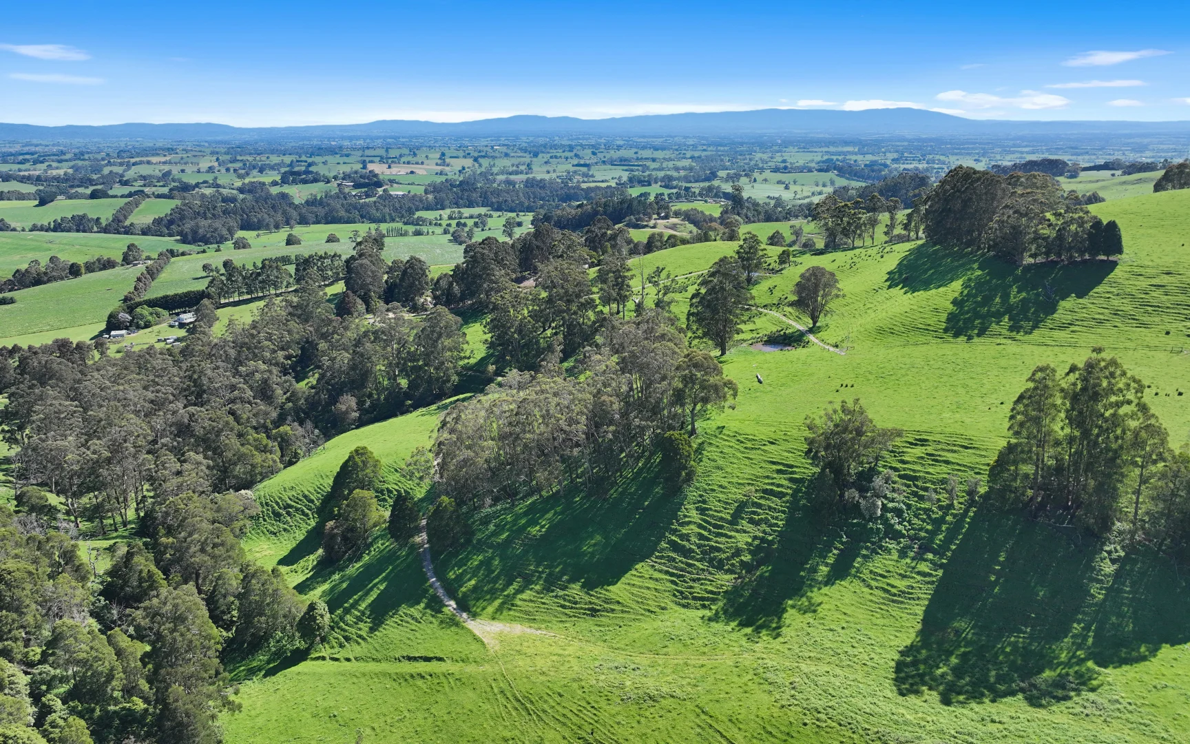 Additional image 16 of 196 Peters Road, Ellinbank VIC 3821