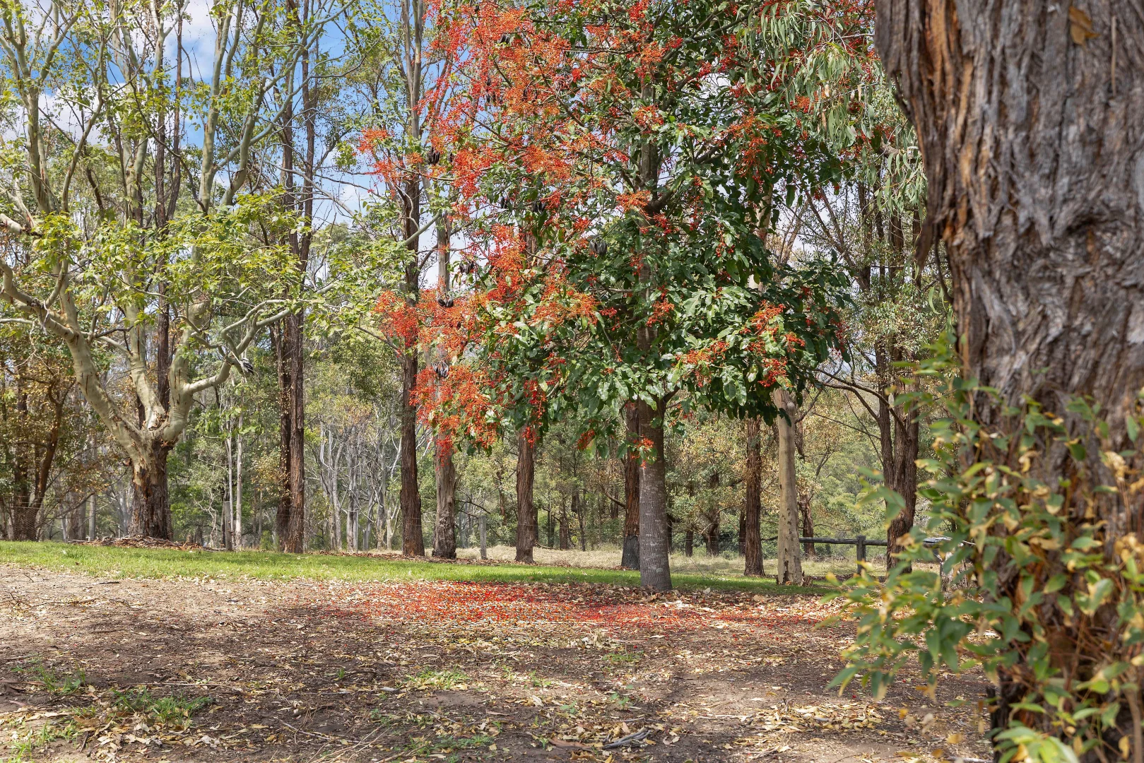 Additional image 18 of 212 Francis Street, Moruya NSW 2537