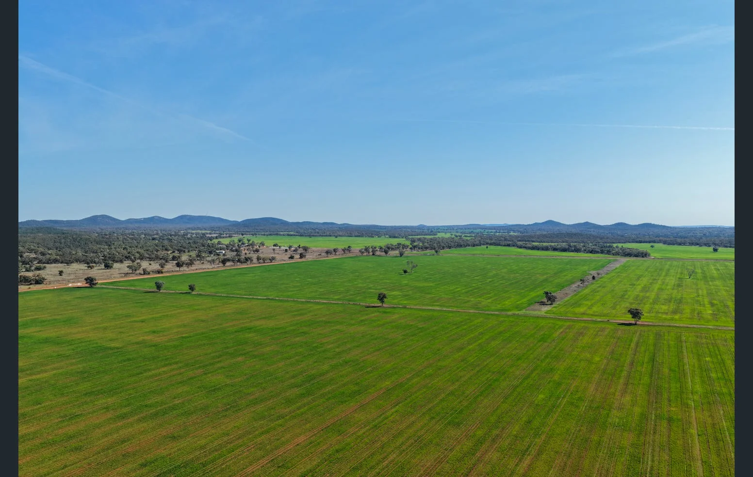 Additional image 10 of 'Black Range' 2880 Tallebung Road, Eremerang NSW 2877