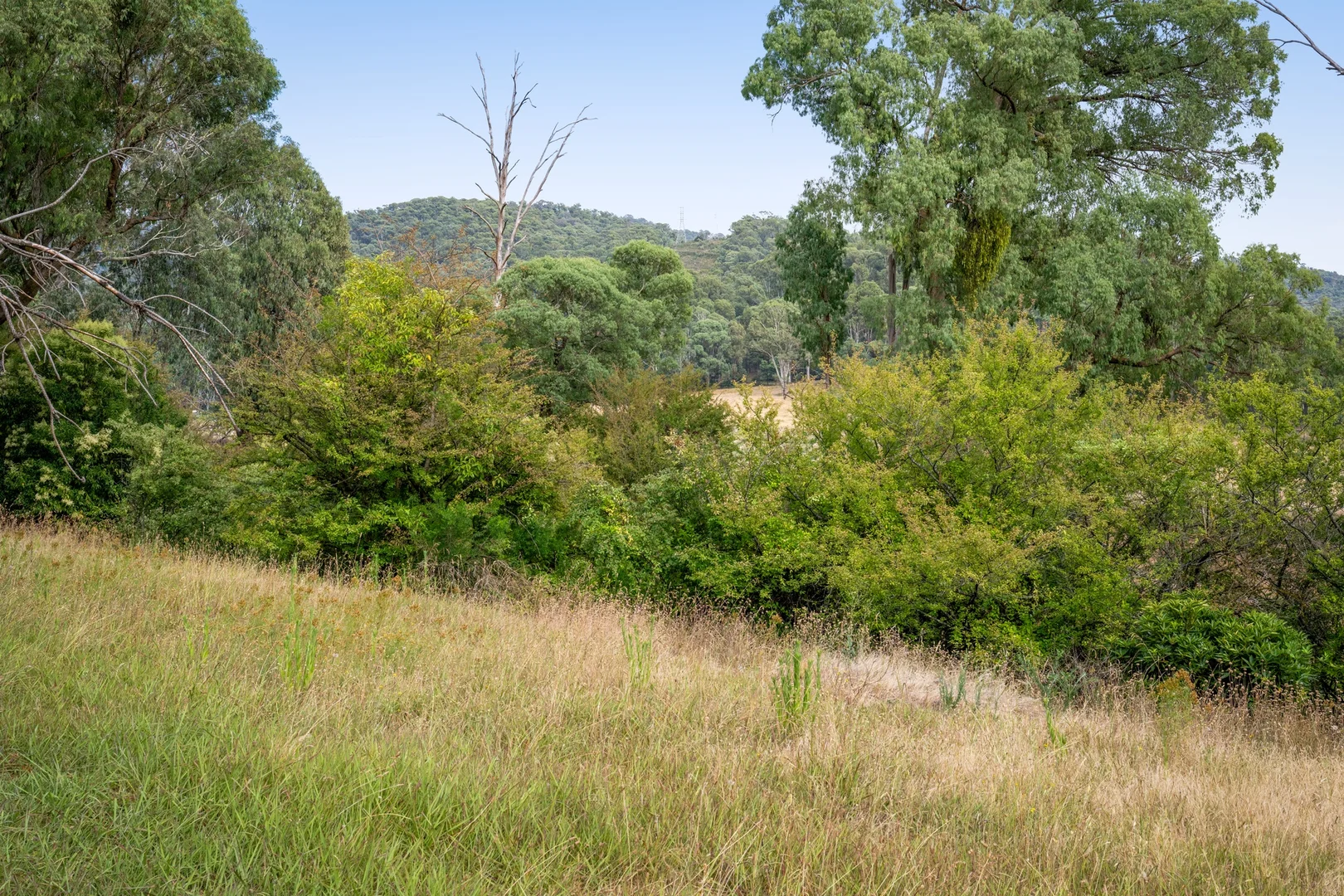 Additional image 11 of 3 Guy Court, Tawonga South VIC 3698