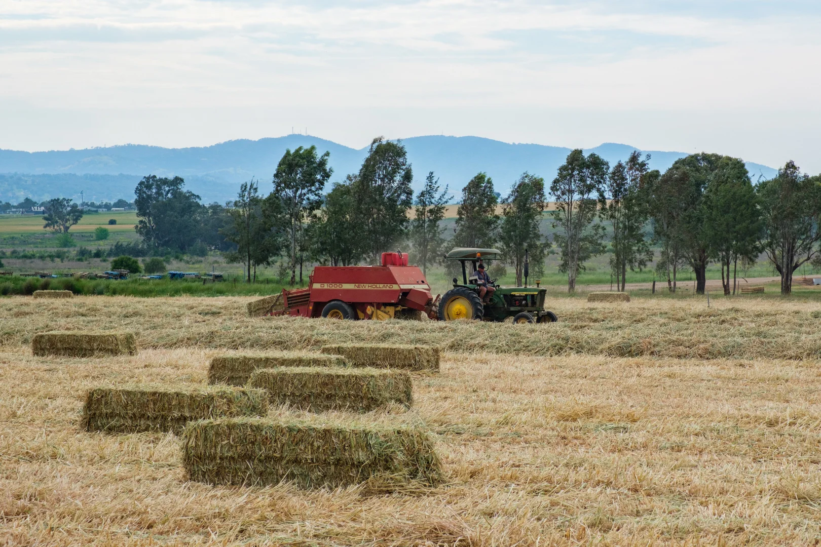 Additional image 5 of 1480 Oxley Highway, Tamworth NSW 2340
