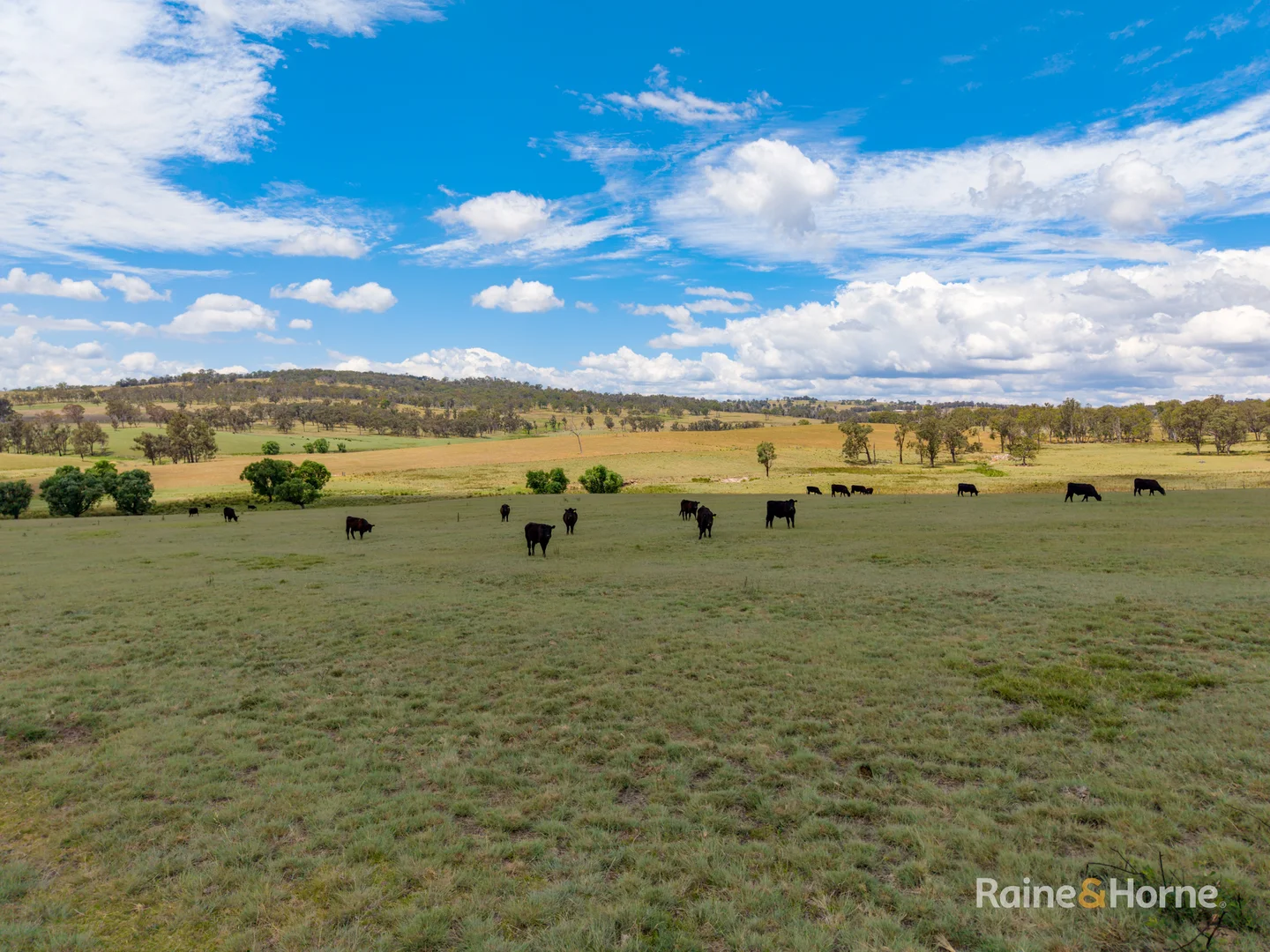 Additional image 26 of 8654A New England Highway, Tenterfield NSW 2372
