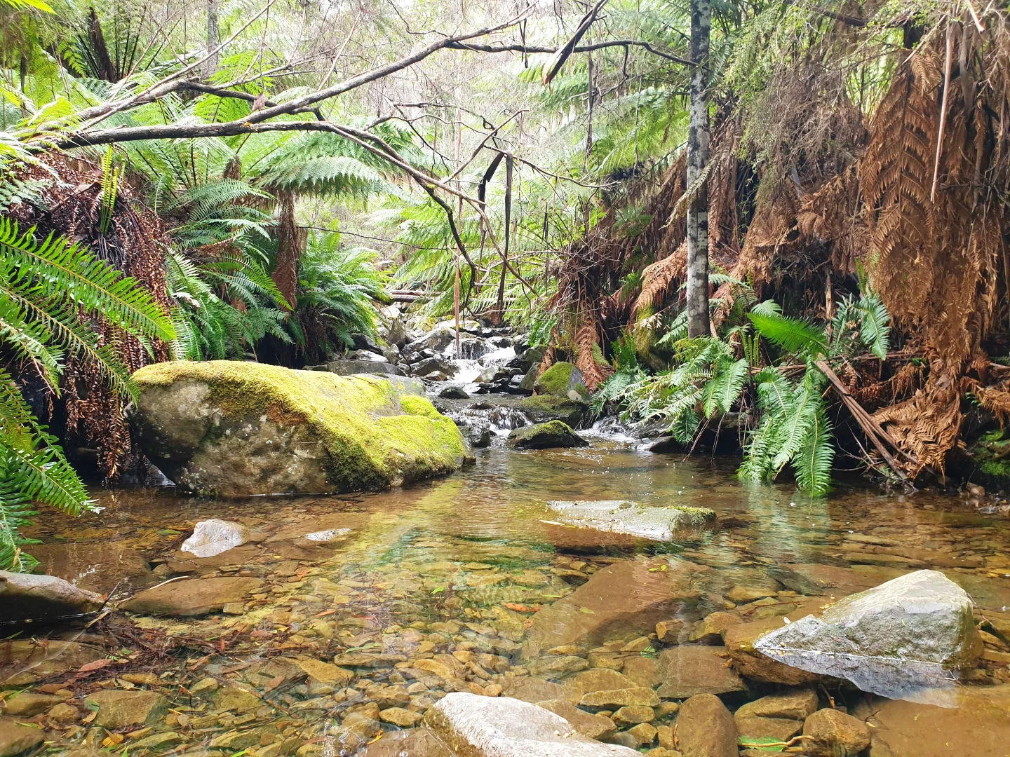 Additional image 9 of Lot 5 Liddells Road, Crabtree TAS 7109