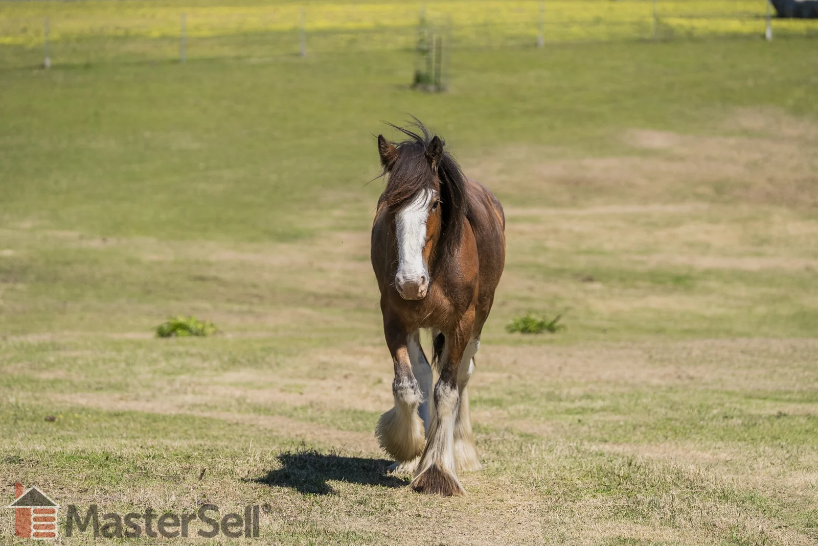 Additional image 9 of 2/43 Victoria Hill Rd, Adelong NSW 2729