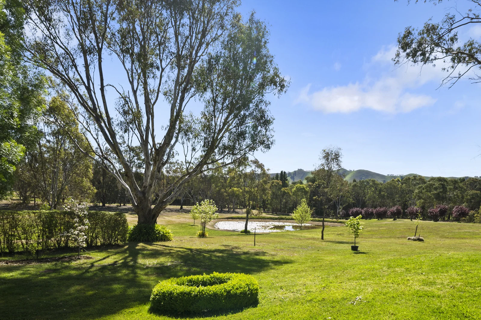 Additional image 3 of 205 Banumum Road, Mansfield VIC 3722