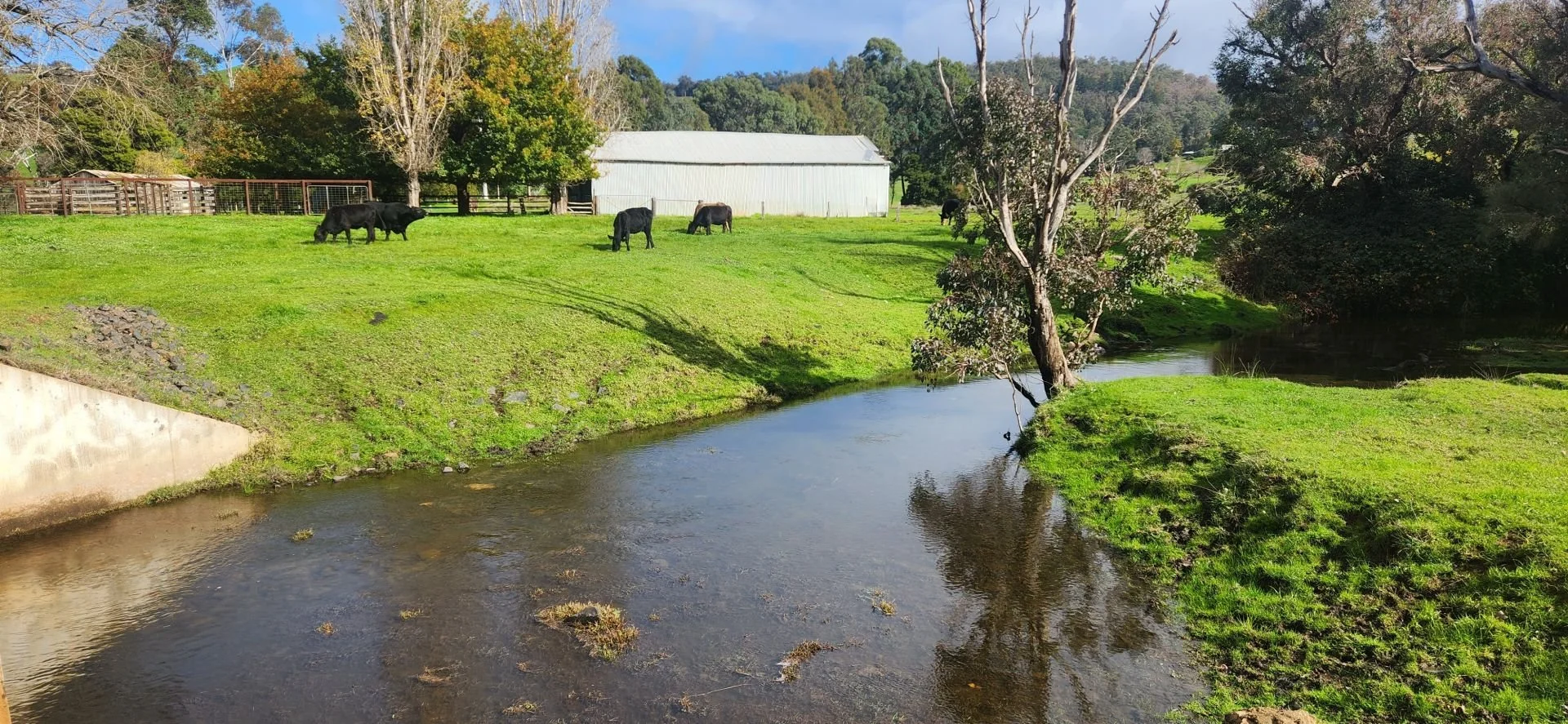 Additional image 4 of 21 Airstrip Rd, Balingup WA 6253