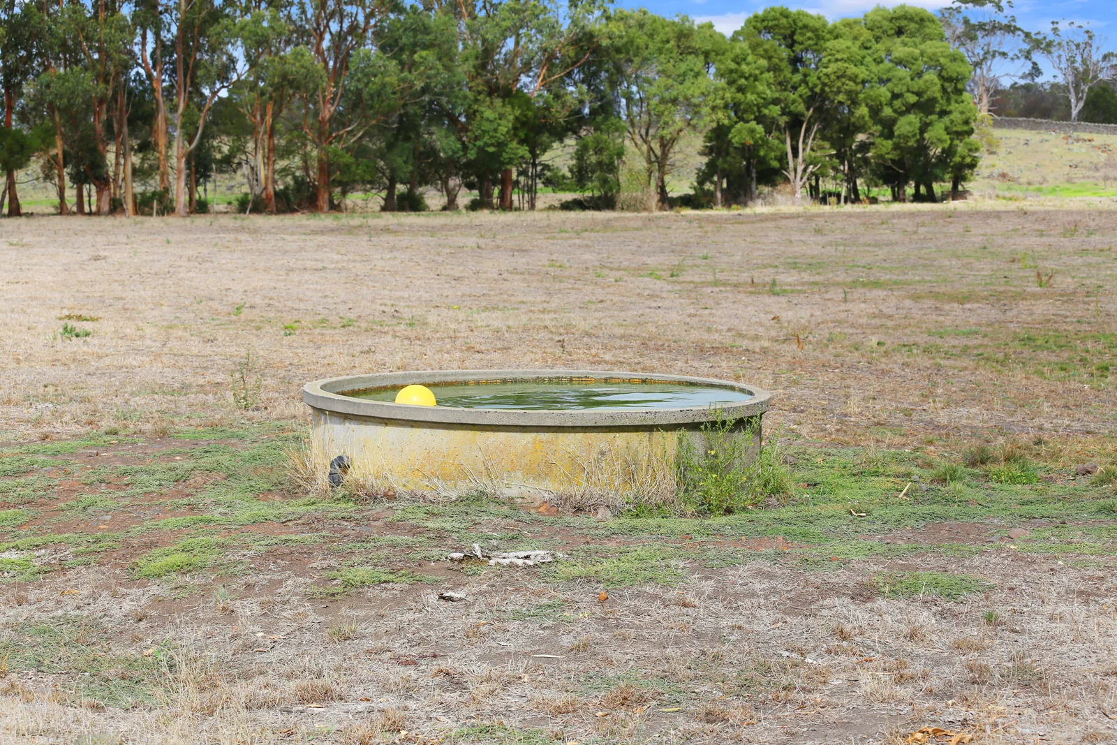 Additional image 40 of 401 Purrumbete Estate Road, Koallah VIC 3260