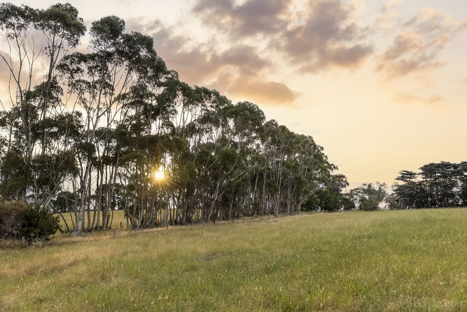 Additional image 32 of 1030 Surf Coast Highway, Mount Duneed VIC 3217