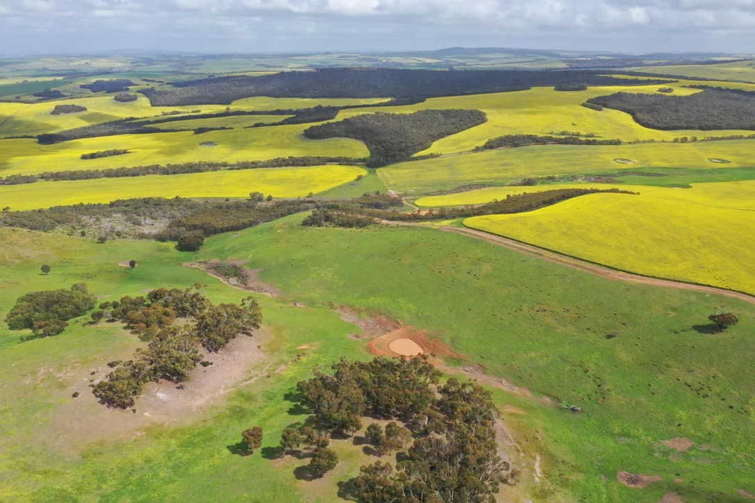 Additional image 12 of 251 Reservoir Drive, Whites Flat SA 5607