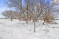 Additional image 33 of 9065 Route 474, Clymer, NY, 14724
