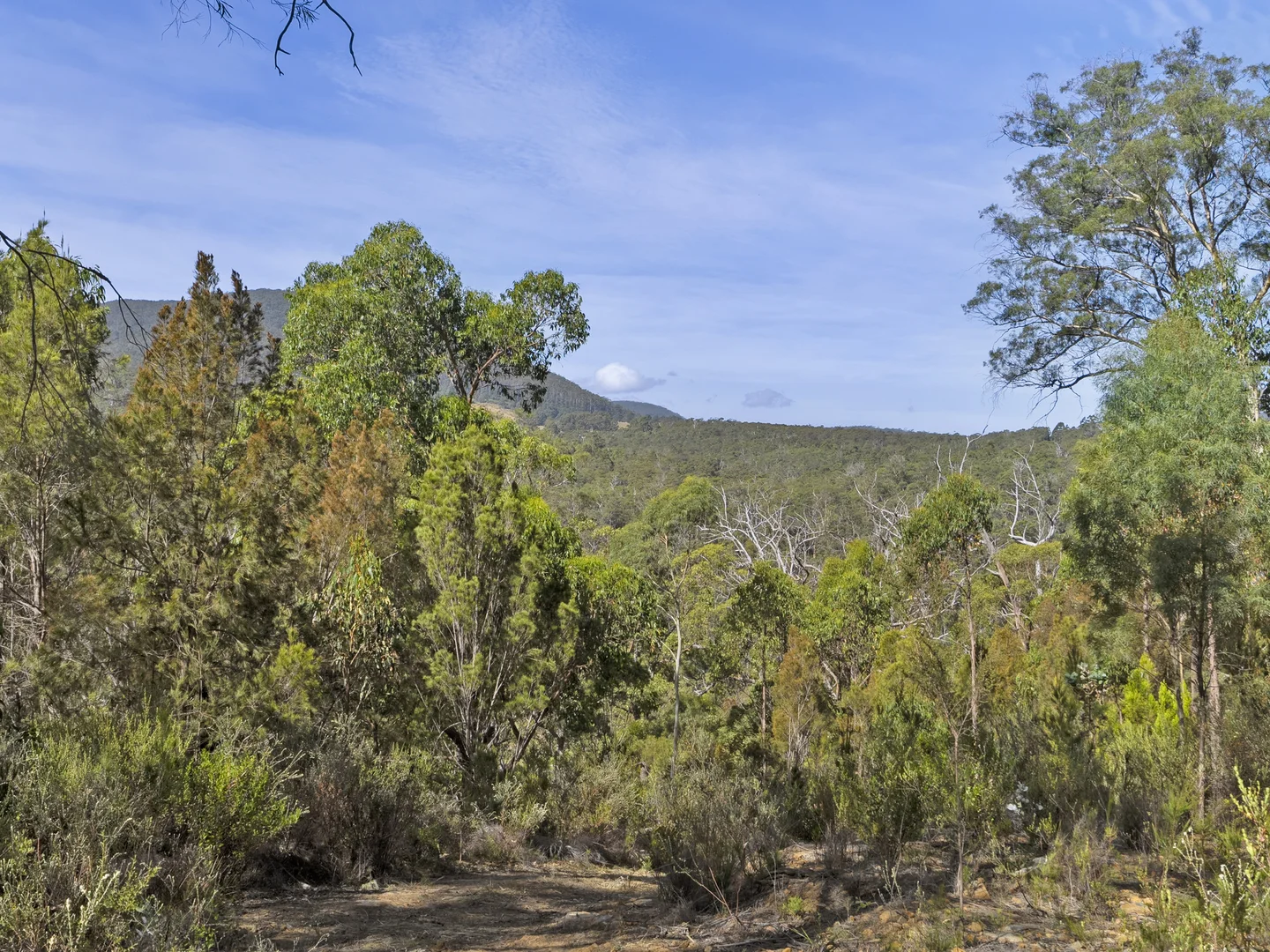 Additional image 13 of 2 and 3 White Beach Road, White Beach TAS 7184