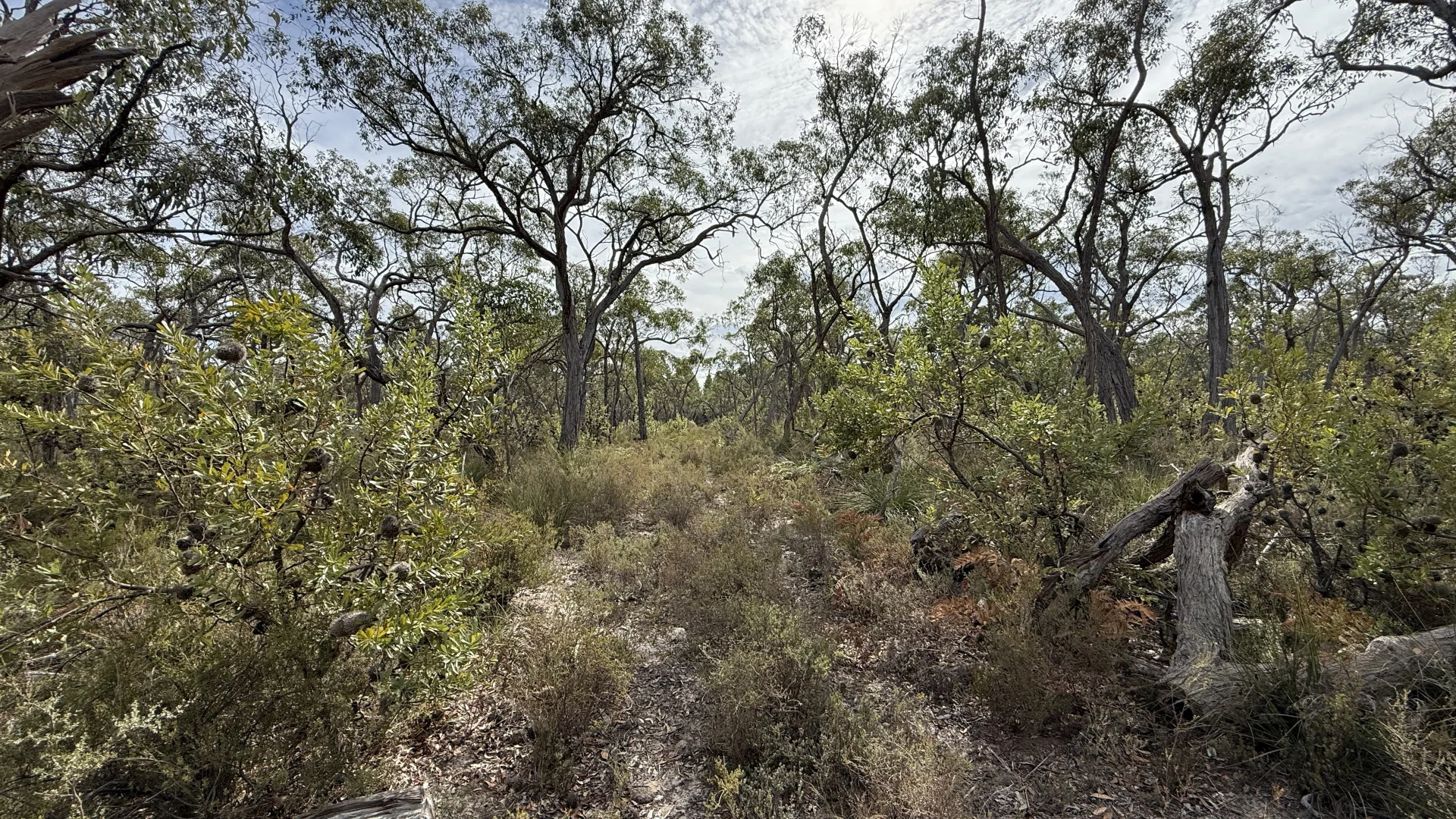 Additional image 20 of Lot 1 Jim Ryans Road, Edenhope VIC 3318