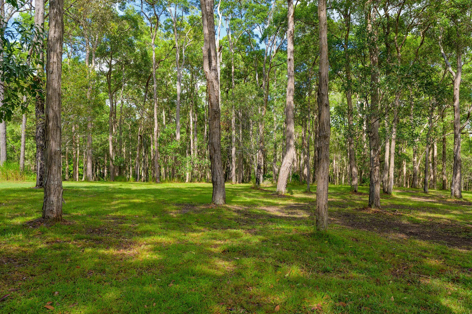 Additional image 22 of 10 O'Keeffe Road, Mothar Mountain QLD 4570