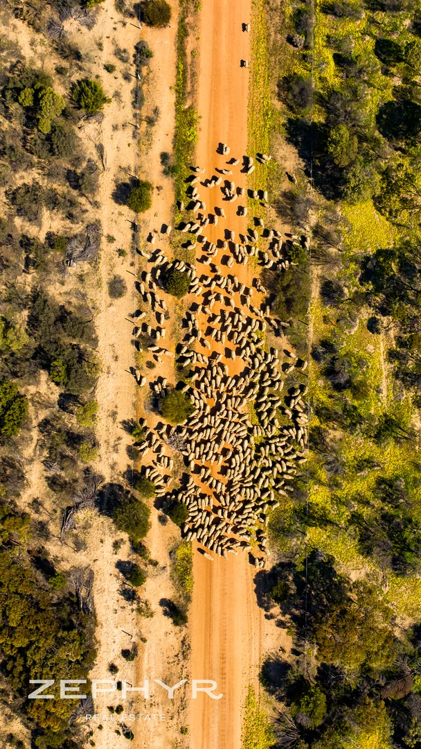 Additional image 39 of 6865 Emu Fence Road, Skeleton Rock WA 6426