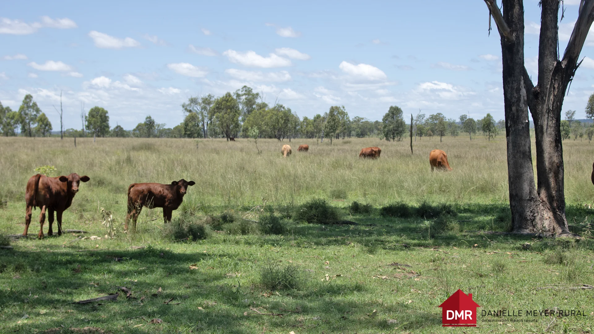 Additional image 52 of 8 Screening Plant Road, Cynthia QLD 4627
