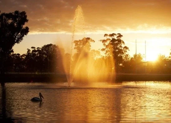 Additional image 4 of 38 Browne Street, Forbes NSW 2871