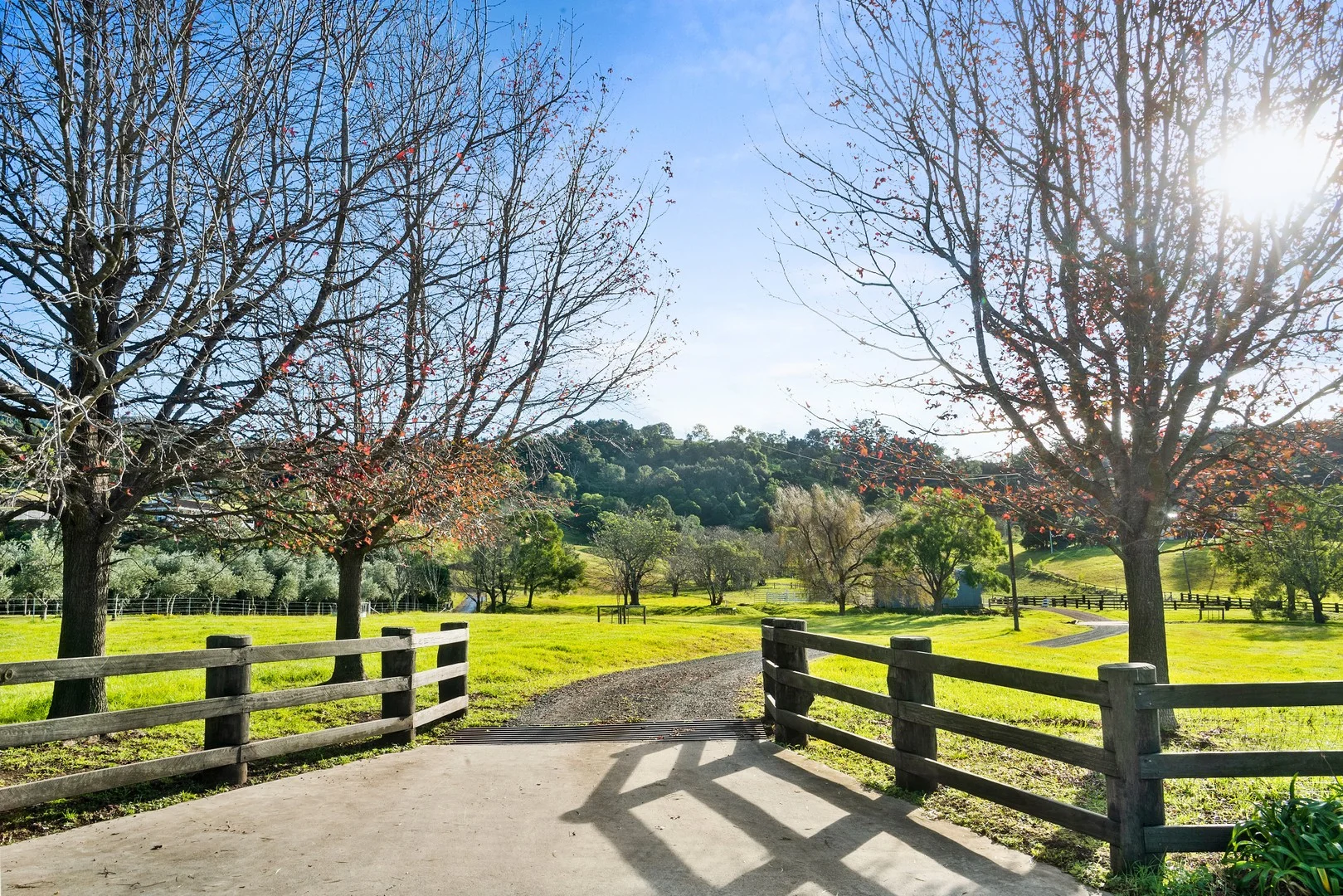 Additional image 2 of 110 Devitts Lane, Meroo Meadow NSW 2540