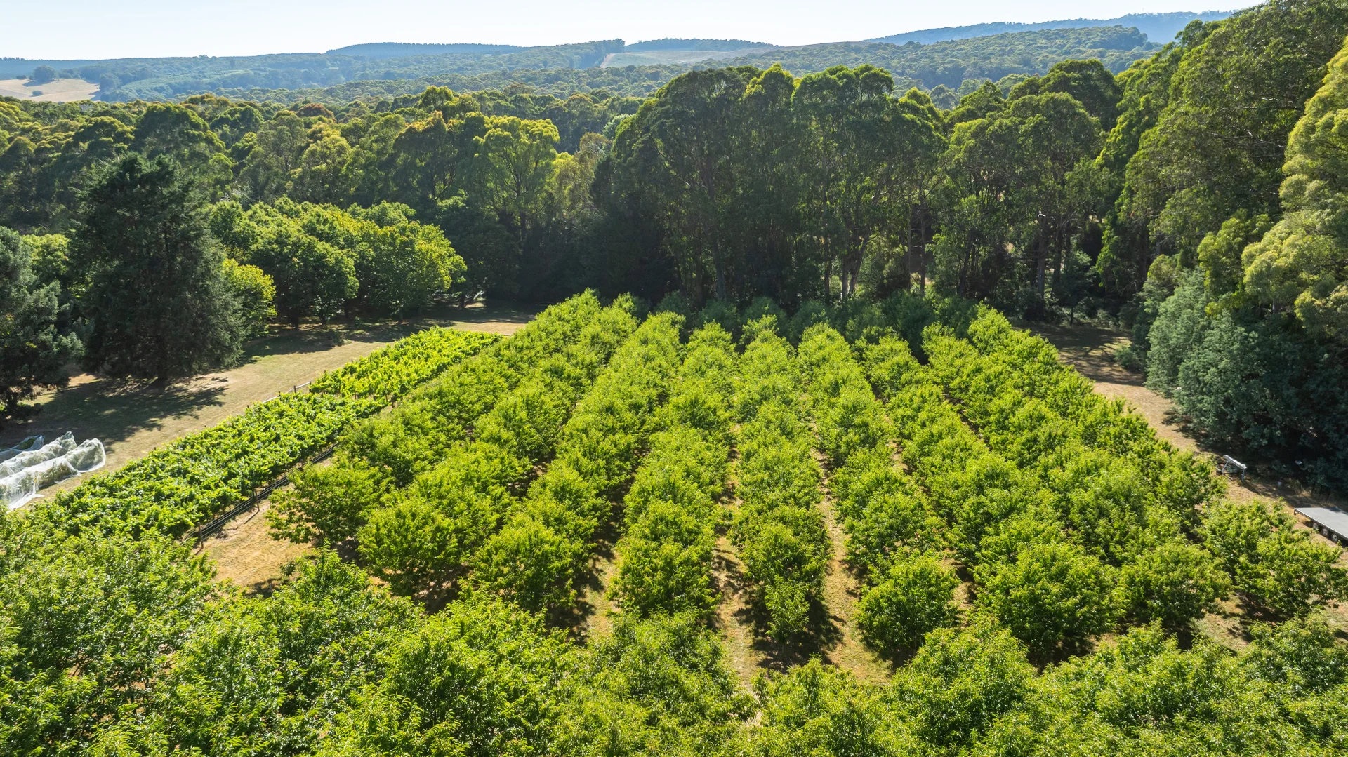 Additional image 21 of 192 Myrtleford-Stanley Road, Stanley VIC 3747