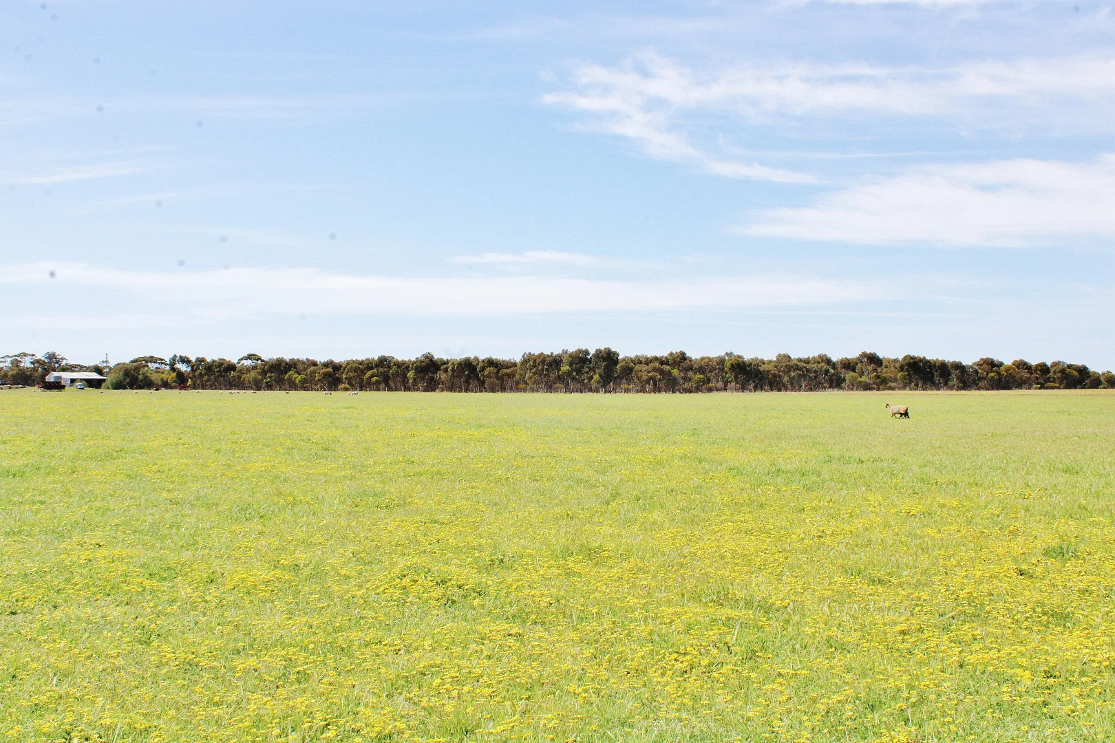 Additional image 23 of 256 WAGIN-DUMBLEYUNG ROAD, Wagin WA 6315