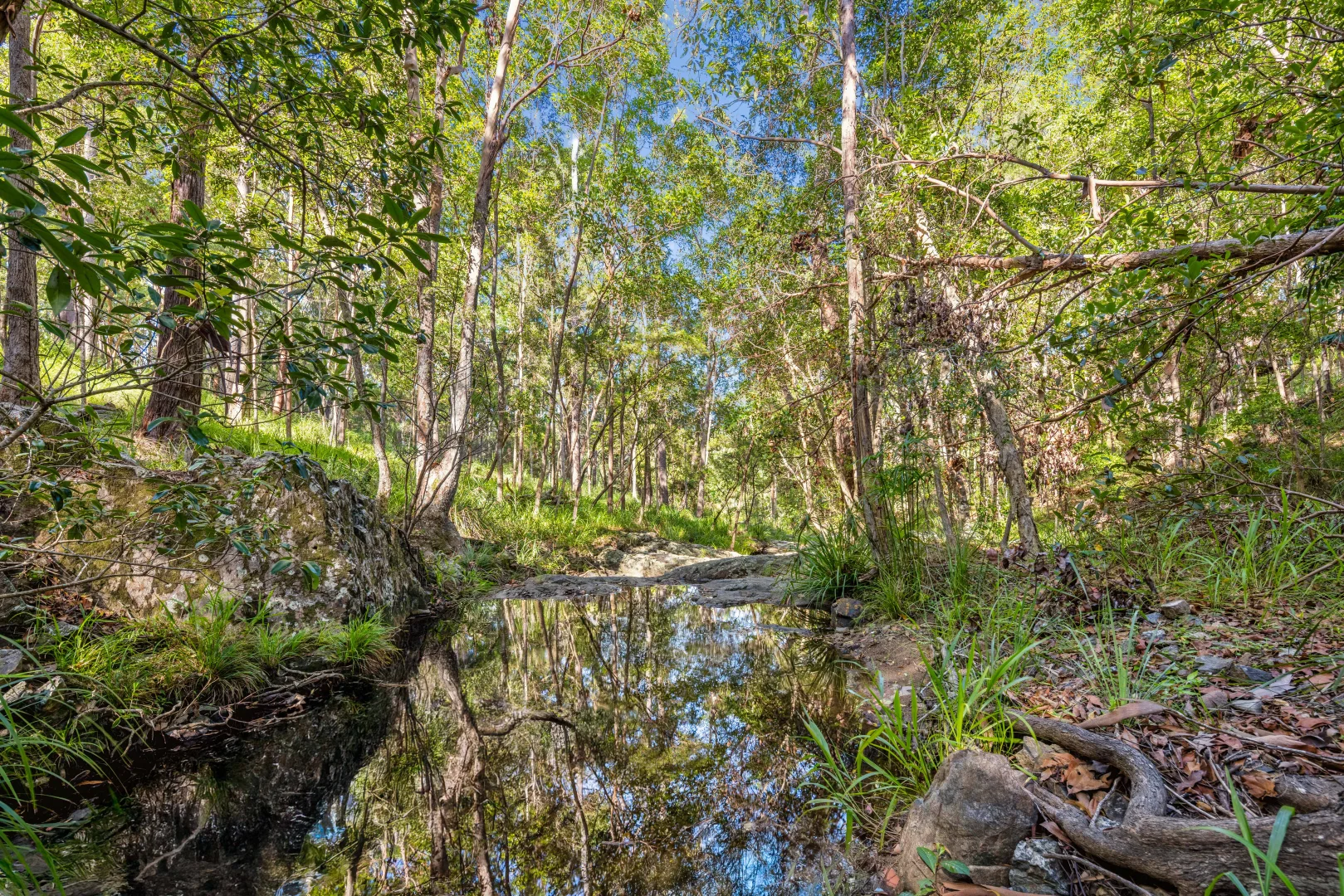 Additional image 25 of 6 DORSET PLACE, Elanora QLD 4221