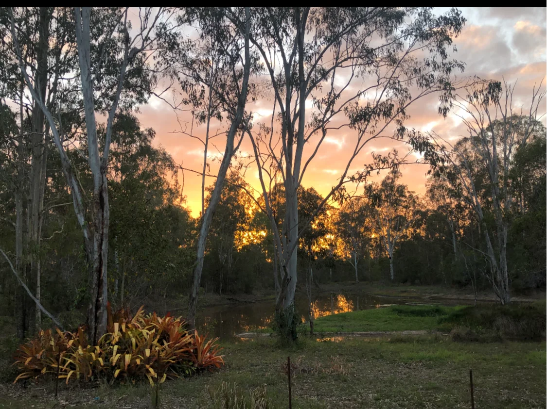 Additional image 19 of 847 Old Gympie Road, Paterson QLD 4570