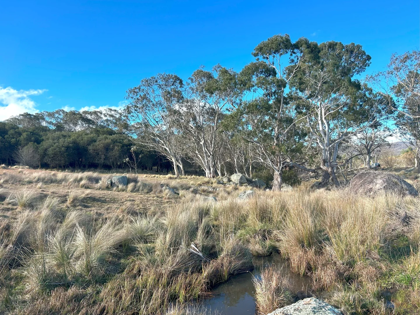 Additional image 11 of 11 & 128 Stoney Ridge Road, Braidwood NSW 2622