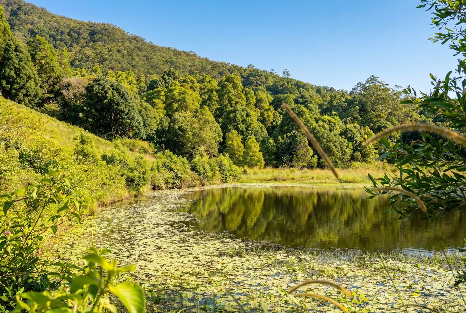 Additional image 5 of 50-52 Palmers Road, Terragon NSW 2484