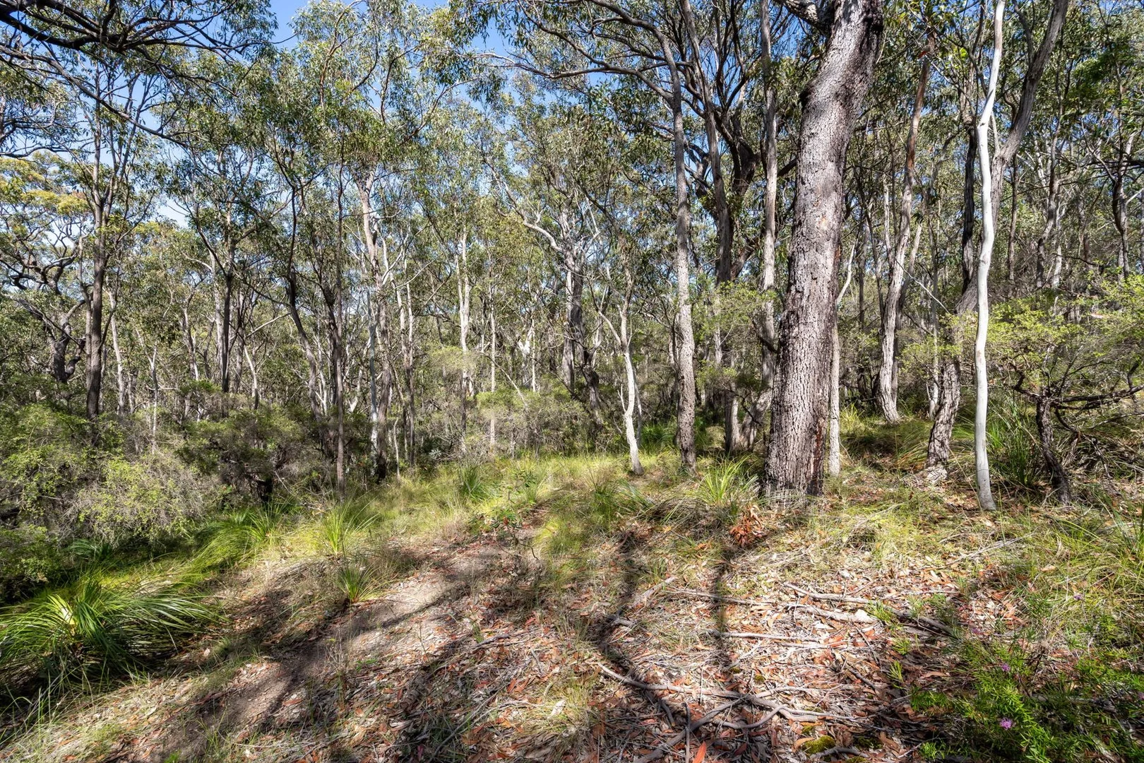 Additional image 5 of 7 Abercarn Crescent, Buttaba NSW 2283