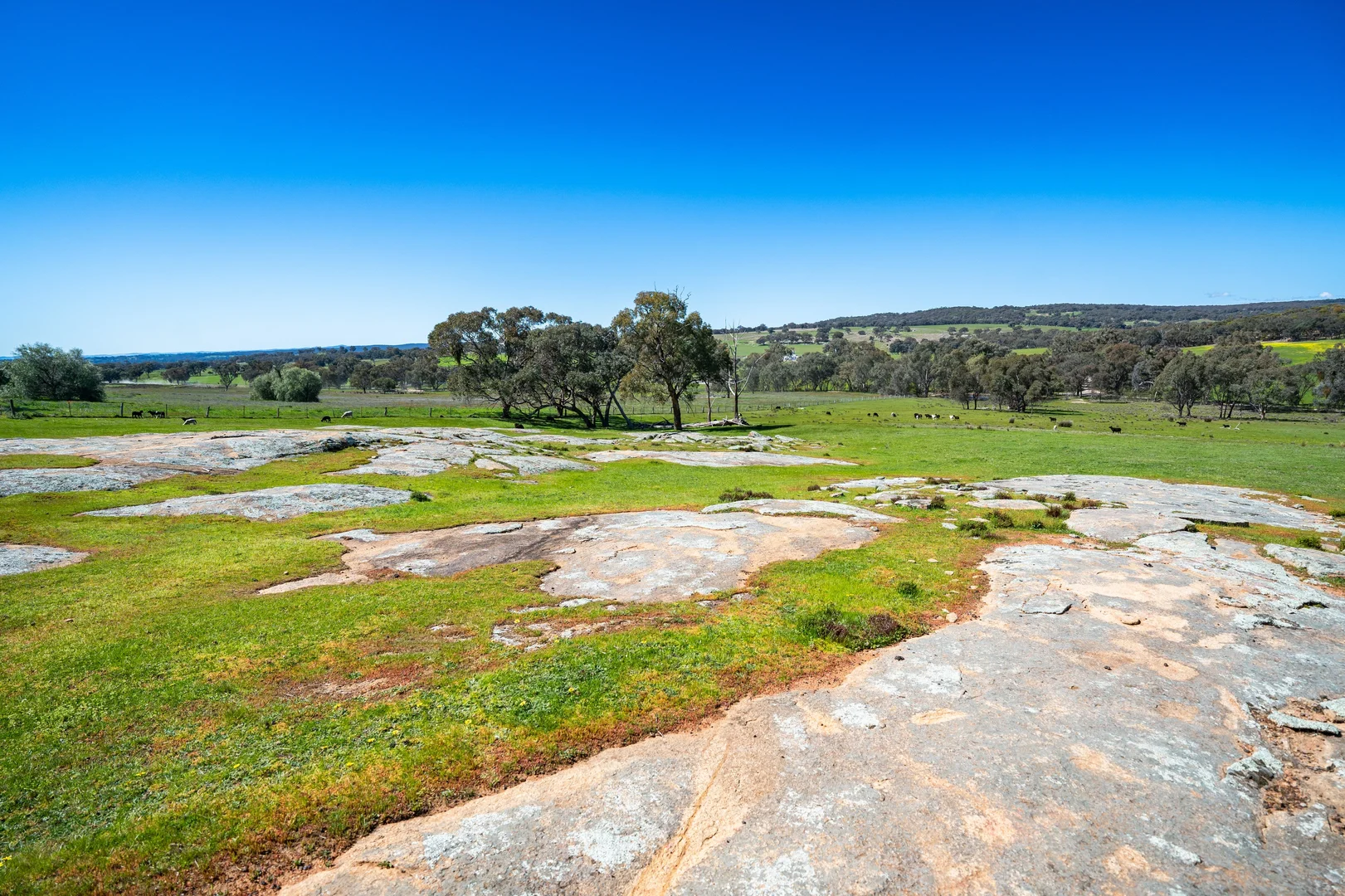 Additional image 19 of . Sanderson Road, Springhurst VIC 3682