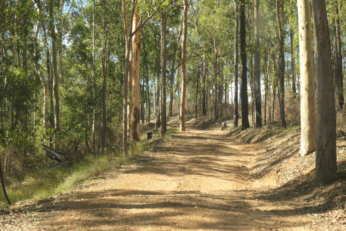 Additional image 10 of Bulldog NSW 2469