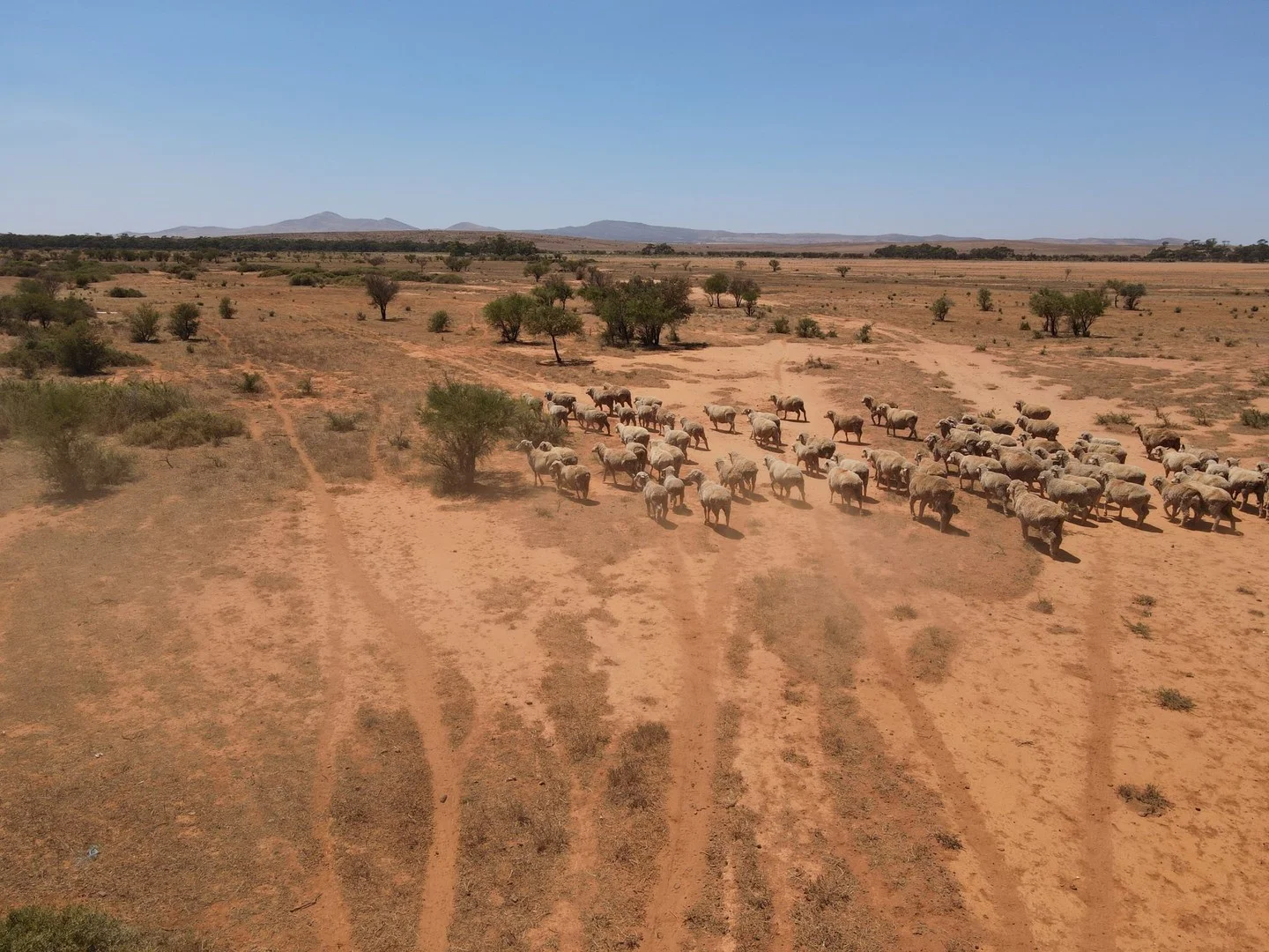 258 Pycroft Rd, Orroroo SA 5431