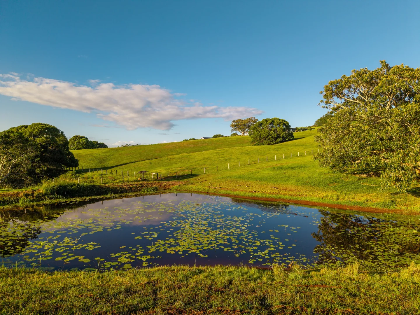 Additional image 23 of 96 Old Byron Bay Road, Newrybar NSW 2479