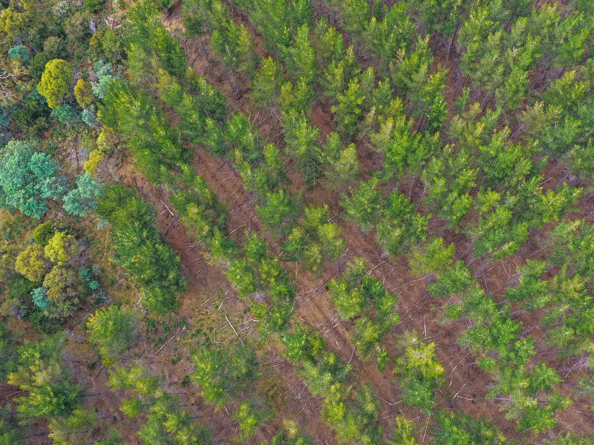 Additional image 21 of 179 Cluan Road, Cluan TAS 7303