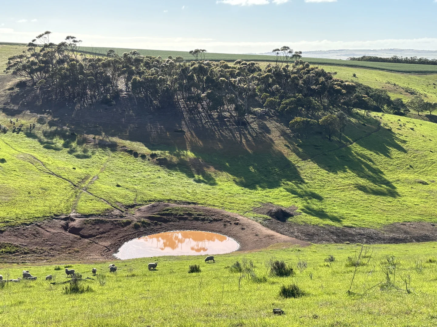 Additional image 13 of 251 Reservoir Drive, Whites Flat SA 5607