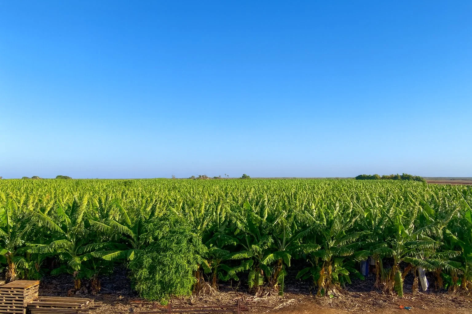 Additional image 2 of 600 South River Road, South Plantations WA 6701